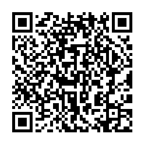 QR code to download Knockout on the App Store